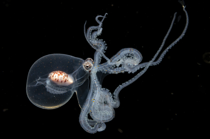 cda3cfc1903611615e1c2f10489806be_3 김성일-IMG_4056.jpg